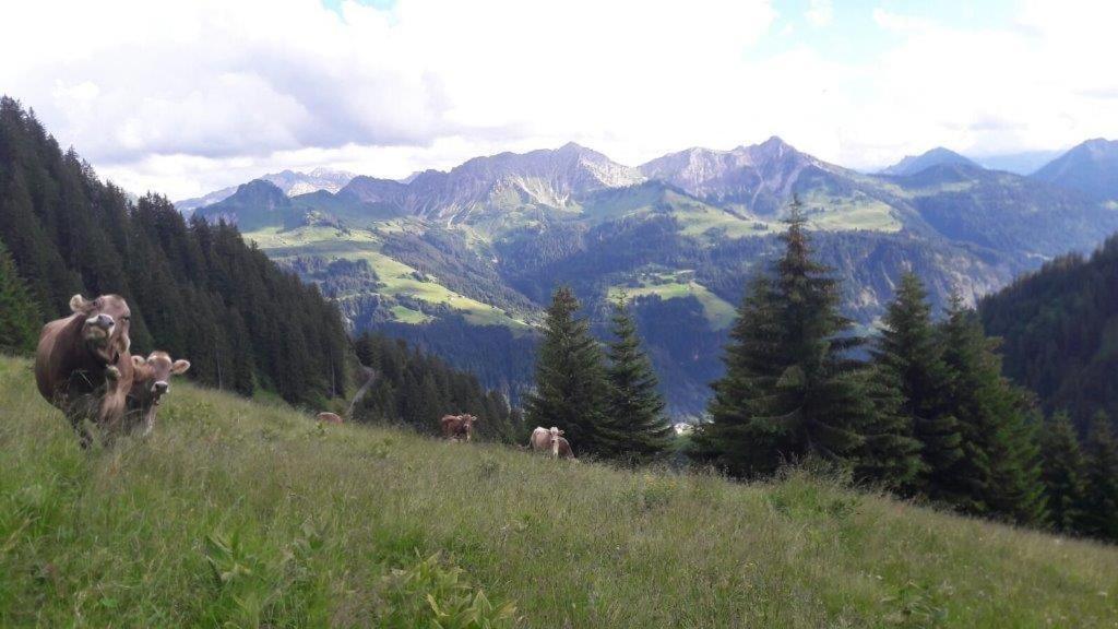 Отель Berghaus Schafer Фашина Экстерьер фото