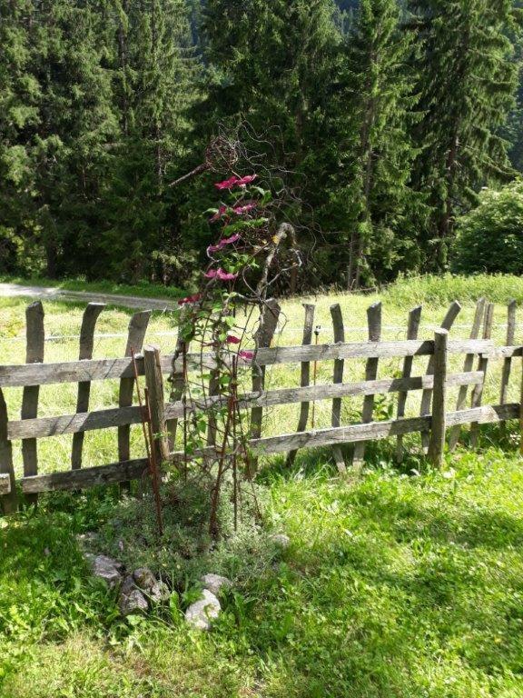 Отель Berghaus Schafer Фашина Экстерьер фото